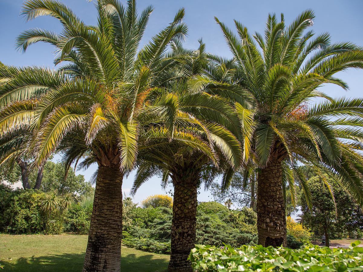 וילנב-לובה Hotel Bahia מראה חיצוני תמונה